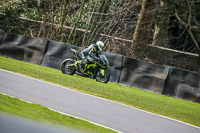 Oulton-Park-21st-March-2020;PJ-Motorsport-Photography-2020;anglesey;brands-hatch;cadwell-park;croft;donington-park;enduro-digital-images;event-digital-images;eventdigitalimages;mallory;no-limits;oulton-park;peter-wileman-photography;racing-digital-images;silverstone;snetterton;trackday-digital-images;trackday-photos;vmcc-banbury-run;welsh-2-day-enduro